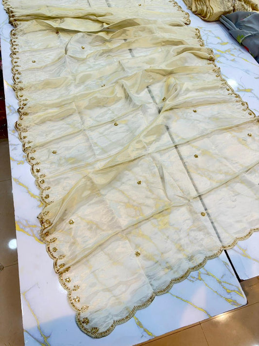 Luxe viscous Tissue Dupatta with Handcrafted  Border 2.75 meter Dyble ✅